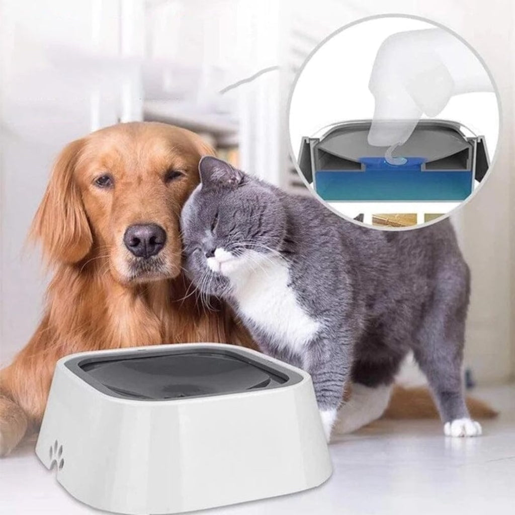 BowlPlus™ | Pets Zero Splash Kom