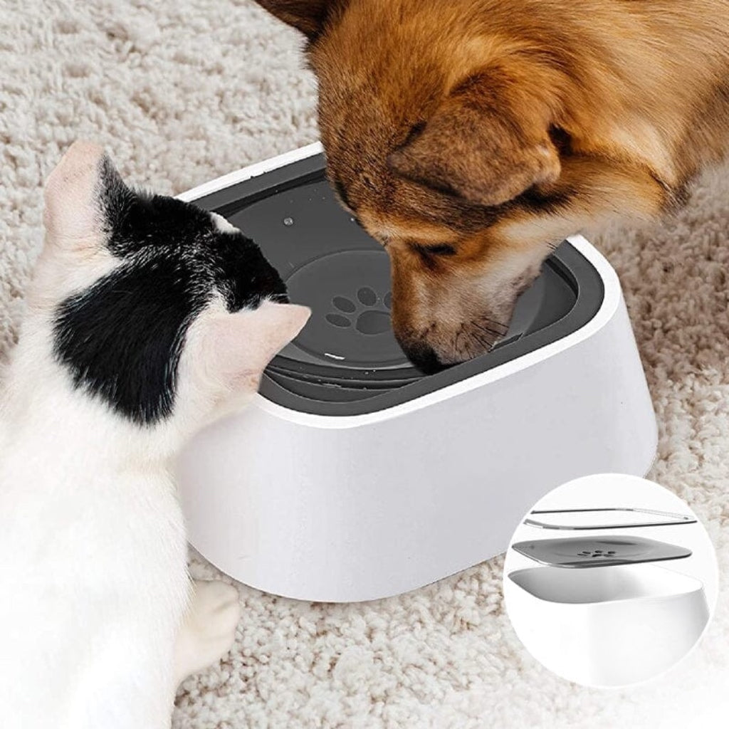 BowlPlus™ | Pets Zero Splash Kom